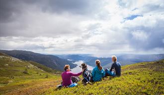 gruppe med vandrere og hund tar en pause og nyter utsikten fra Skorve