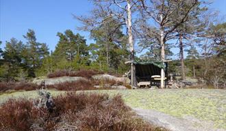 Gapahuk Vieråsene