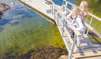 Children playing on a bridge near the water's edge