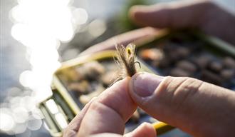 Fishing in Siljan