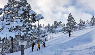 group of 4 on cross-country skiing in Vrådal