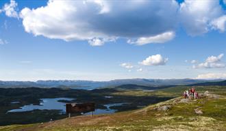 Sculpture hike Vidsyn - Oksatjønn