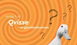 Qvisse: En gjettekonkurranse