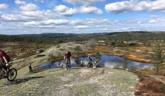 Gruppe syklister sykler over svabergene på Gautefall