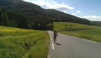 Bikepacker - Grenland region