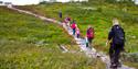 group walks the sherpa trail at falkeriset