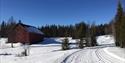 skispor i snølandskap,rød låve blå himmel og skog