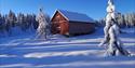 vinterlandskap med snødekte trær og rød låve