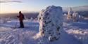 skiløper på tur i vinterlandskap, snødekte trær
