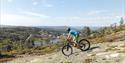 sykkelturer i nærområde til Gautefall hytteutleie