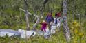 group of adults and children walk on the path to the falconry