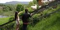 boy and girl watching goats at Evju Bygdetun