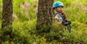 little boy at the climbing park High and Low in Bø in Telemark