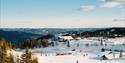 alpine slope at Lifjell ski centre