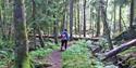 lady walks on  island Siktesøya