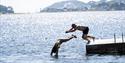 A boy and a girl plunging into the water at the the island Bjørkøya