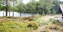 view of the water from the cabin Bjørkbu