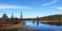lake and forest at Vinje