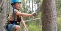 boy walks up a ladder in the climbing park High and Low in Bø in Telemark