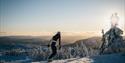 dame kjører snowboard på Lifjell skisenter