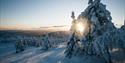 winter landscape on Lifjell in Telemark