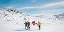 Haukelirennet trimklasse; 3 som går på ski i strålende sol