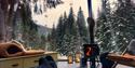 view from a treehouse igloo in winter