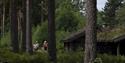 Old houses, people walking in the woods at Drangedal bygdetun