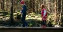 2 girls crossing a bridge on Eventyrsti in Drangedal