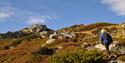 Blue sky, autumn colors on the ground and a woman with a backpack hiking towards one of Lifjell's many summits.