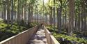 The tretopp walk at the Hamaren activity park