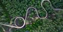 drone image of the tree top walk in Hamaren