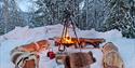 bonfire in the forest in winter