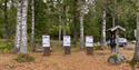 the information boards at the Geopark in Siljan