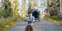 Boy cycling along the Kjerringstein trail.