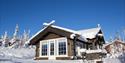 cottage from Gaustatoppen booking in winter