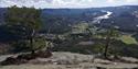 Utsikt fra Elefantfjellet i Tørdal. Fjell og topper, trær