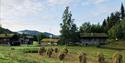 Harvest, museum farmer, Vest-Telemark Museum Eidsborg.