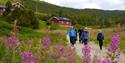 hiking along Kvennavegen