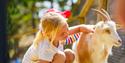 barn koser med en geit på Foldvik familiepark