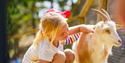 children cuddle with a goat at Foldvik family park