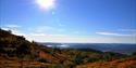 Fra Glexefjell på Lifjell, en topp på 1120 meter over havet. Solskinn, blå himmel, høstfarget lyng og flott utsikt over Norsjø og Telemark.