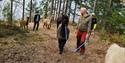 group on an alpaca walk with Svenseid Alpakka