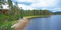 natursti langs vannet på Fossøy i Vrådal