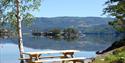 bench with a view of the water at Nisser Cabin Resort and Camping