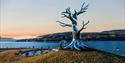 The sculpture TRE along the industrial promenade in Notodden.