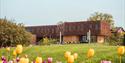 New museum building Brekkeparken tulips