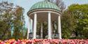 Pavilion Brekkeparken tulips