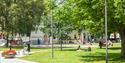 Lekeplassen i Rådhusparken