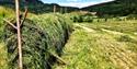 cut grass at Tveitan Gård